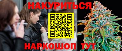 амф Гусев