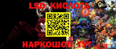 амф Гусев
