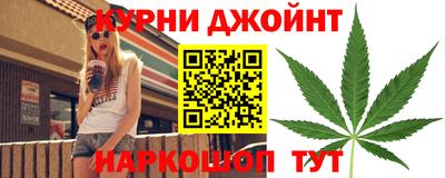 гидра Гусь-Хрустальный