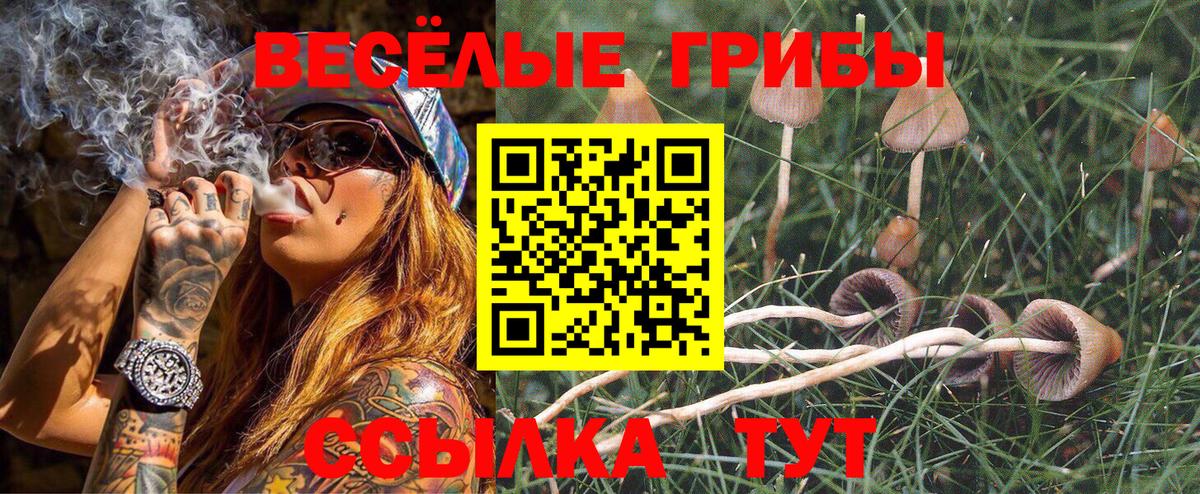Альфа ПВП Дюртюли